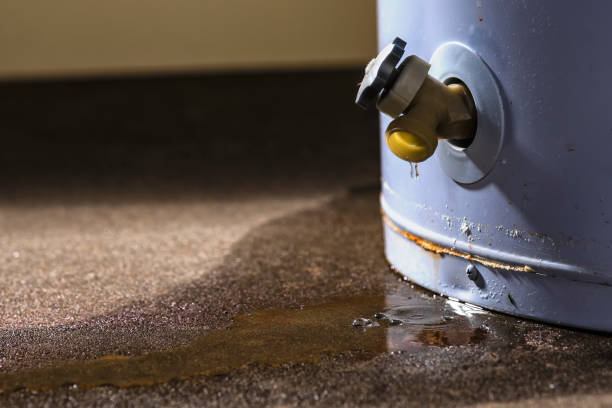 Best Water damage mitigation services  in Hutchinson Island South, FL