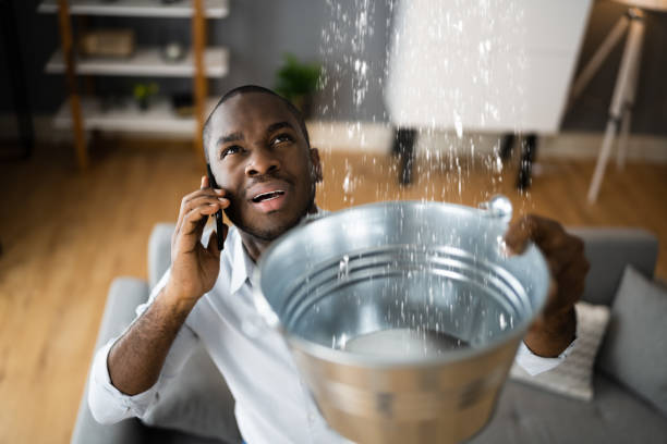 Best Water damage restoration company  in Hutchinson Island South, FL
