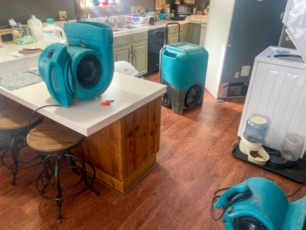 Best 24/7 water damage repair  in Hutchinson Island South, FL
