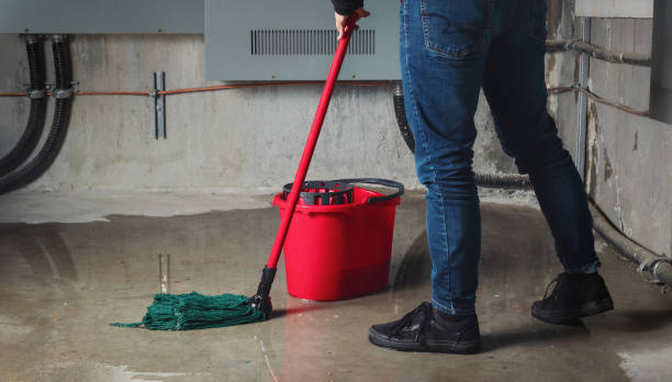 Best Water damage contractors near me  in Hutchinson Island South, FL