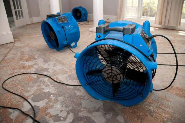 Best Local water damage restoration  in Hutchinson Island South, FL