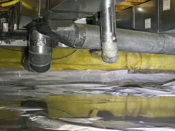 Best Basement water damage restoration  in Hutchinson Island South, FL