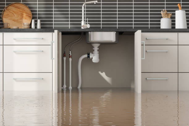 Best Water damage restoration near me  in Hutchinson Island South, FL